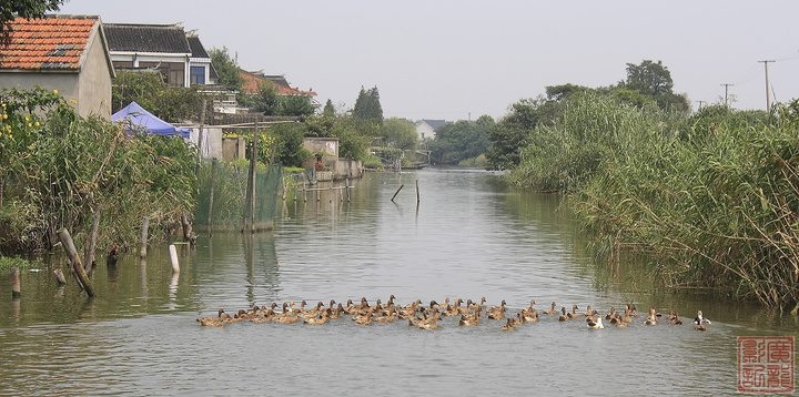 【阳澄湖人家摄影图片】阳澄湖风光旅游摄影_