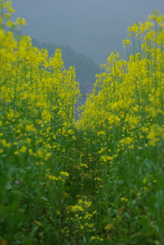 2010春暖花开