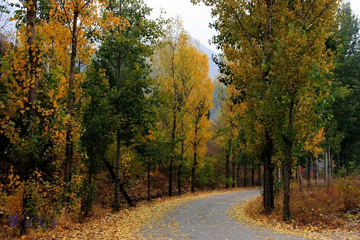 一路风景:乡村的秋天