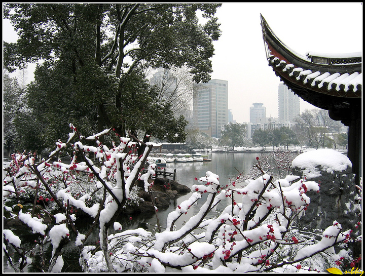 【阳春白雪映红梅摄影图片】宁波生态摄影