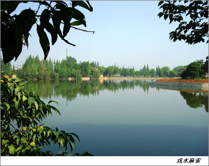 【水韵汉中---兴元湖(一)摄影图片】汉中兴元湖公园