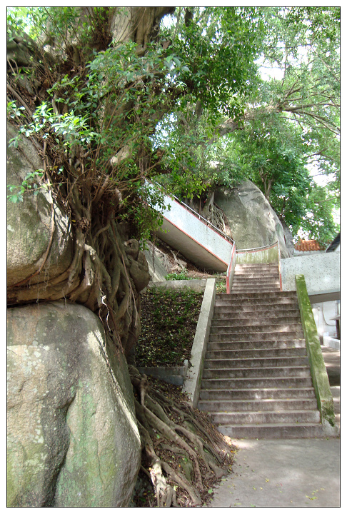 潮州八景--金山古松1 (共p)