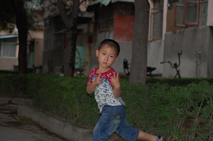 【我的小外甥和小侄子摄影图片】丰庆公园人像