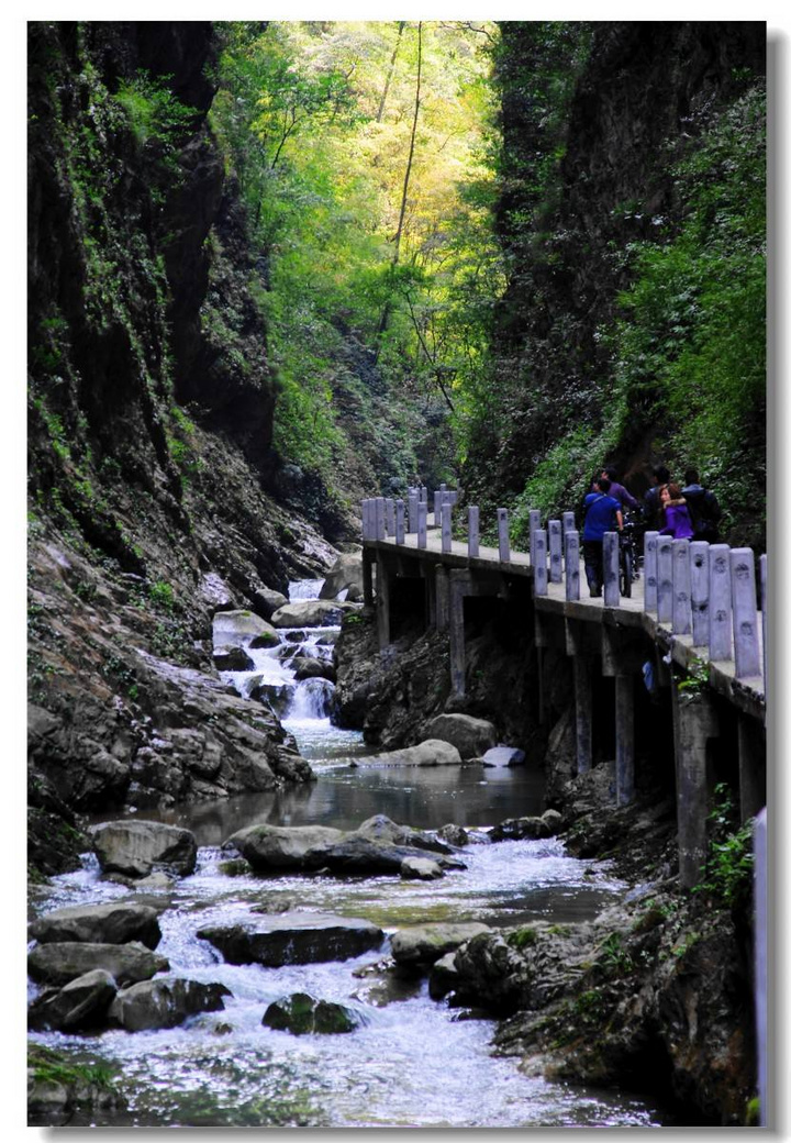 金佛山西坡掠奇