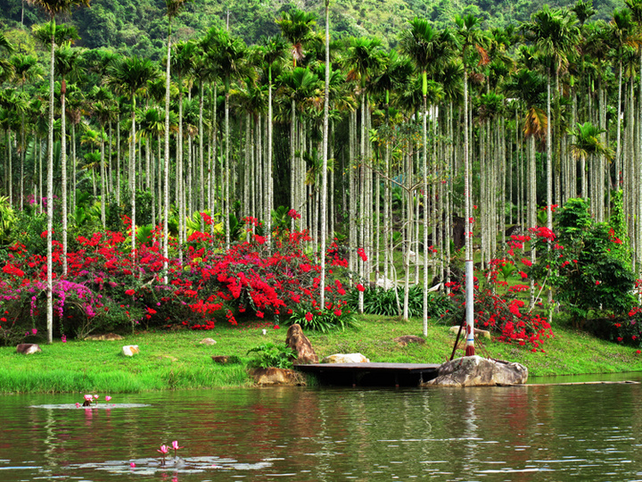 【呀诺达热带雨林摄影图片】三亚风光旅游摄影