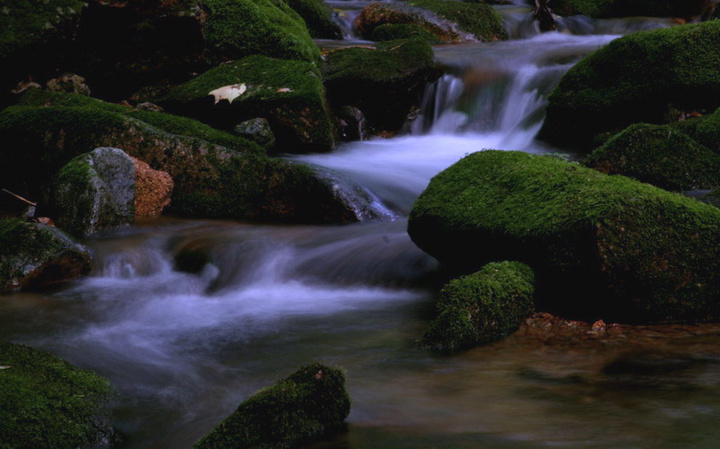潺潺小溪水