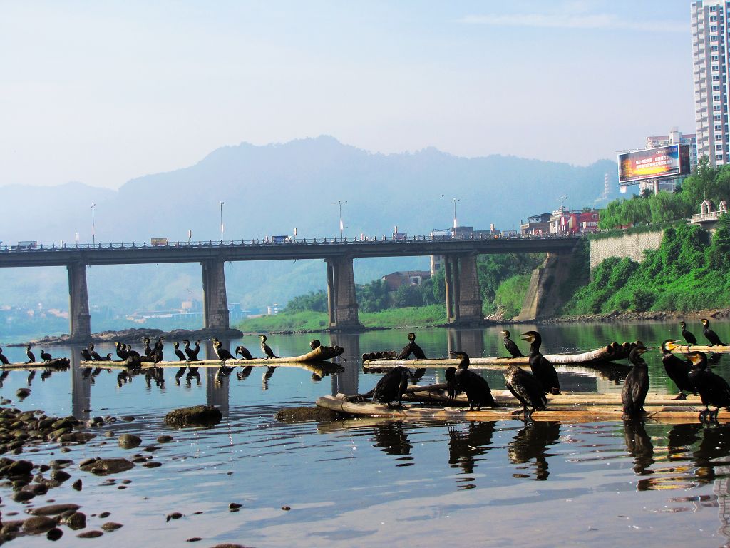 建瓯水上风情