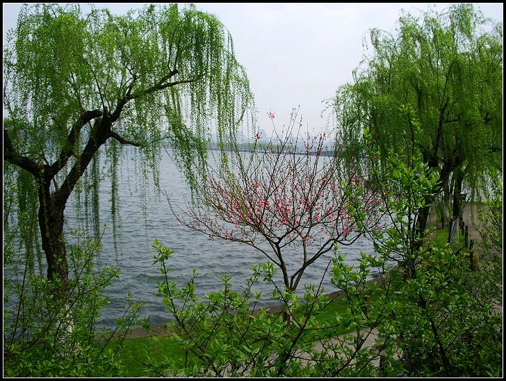 西湖如梦初醒