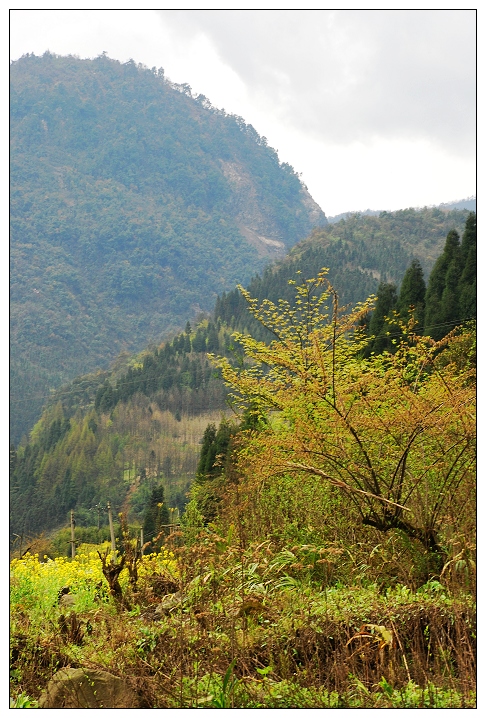 大邑山区风景随拍