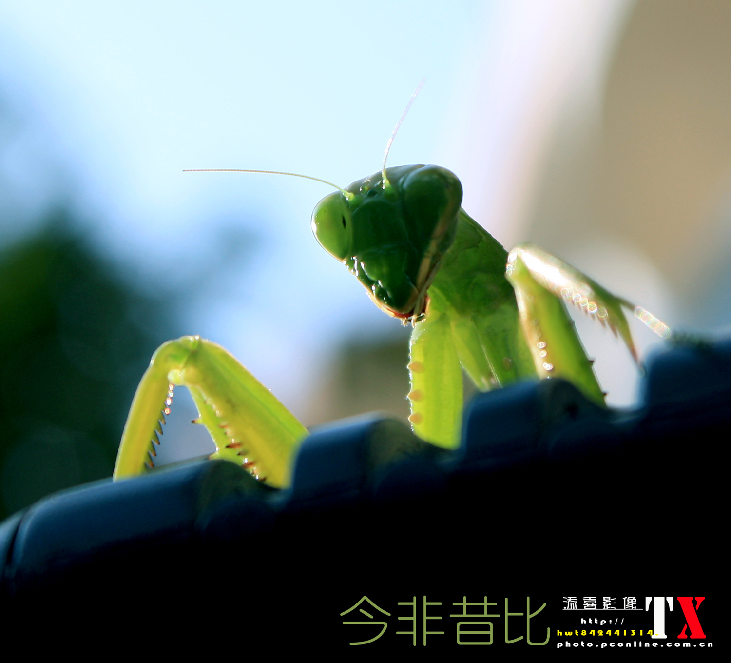 今非昔比