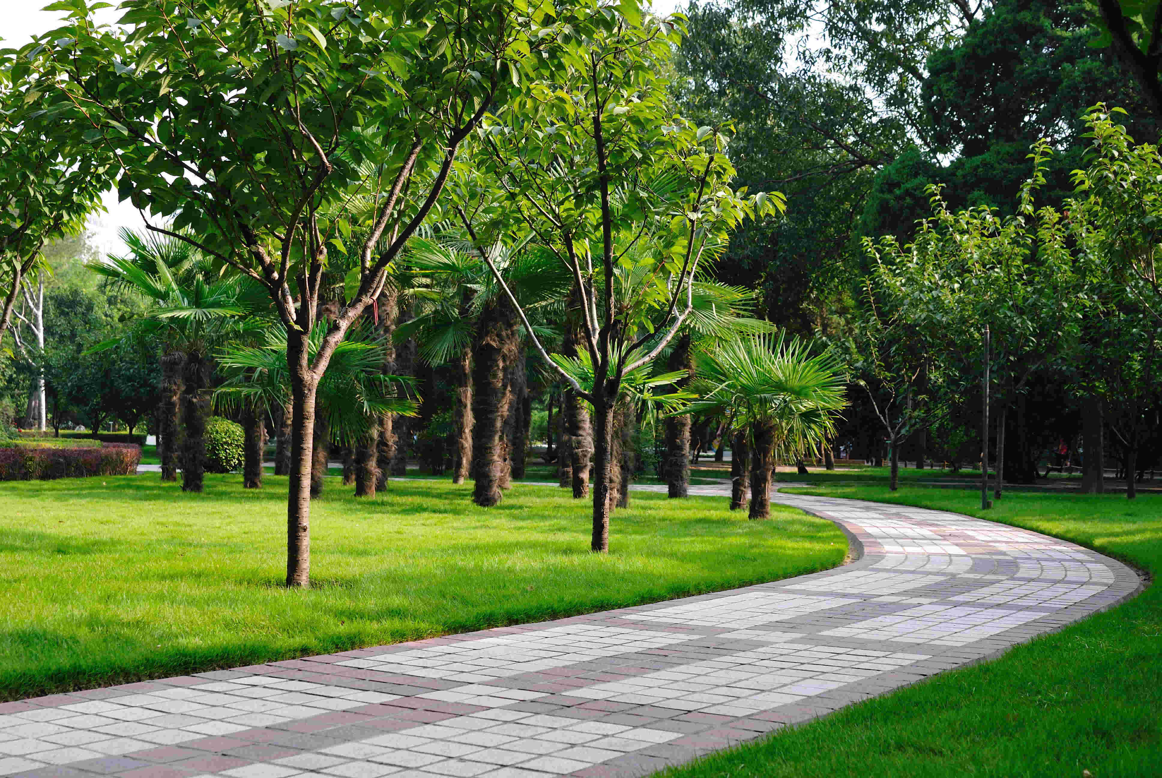 【携程攻略】郑州五一公园景点,五一公园以前叫工人文化宫，我们经常来这里健身，公园里绿树成阴，而…
