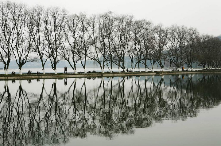 【静静的清漪湖摄影图片】雅安市名山县生态摄