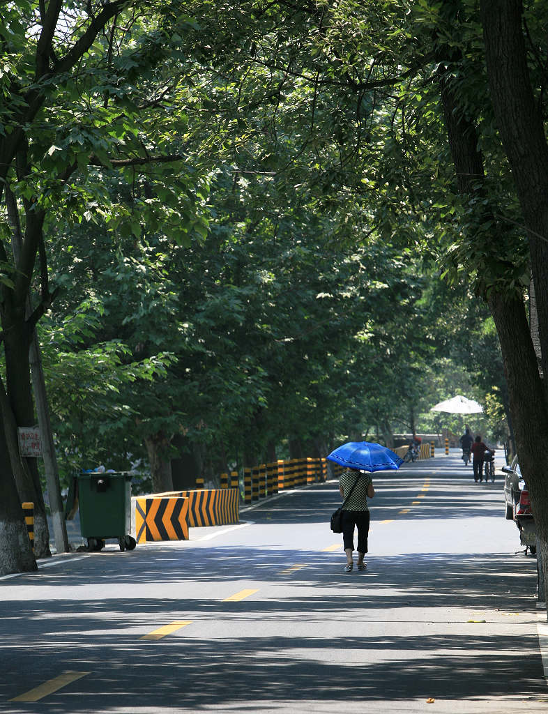 【林荫道摄影图片】成都市双流县纪实摄影_二筒天地_太平洋电脑网摄影