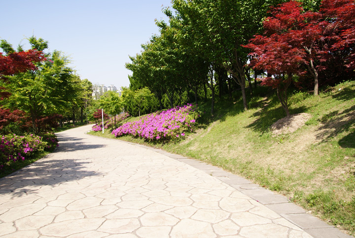 公园一景