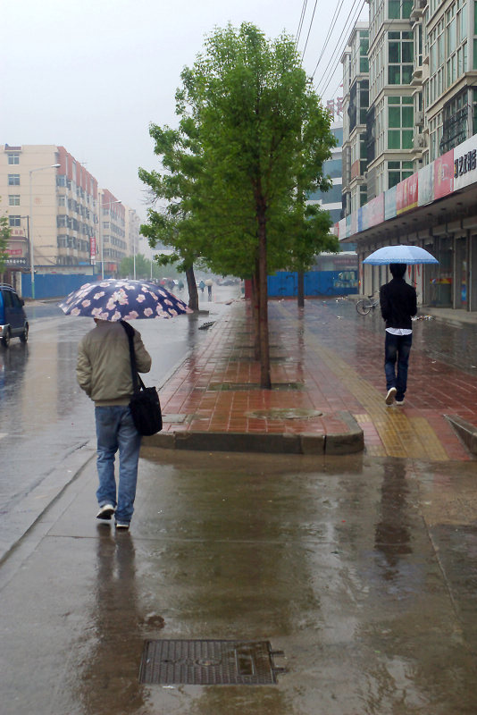 四月里的小雨