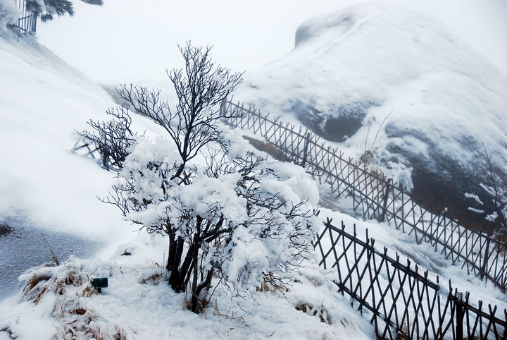 风雪黄山