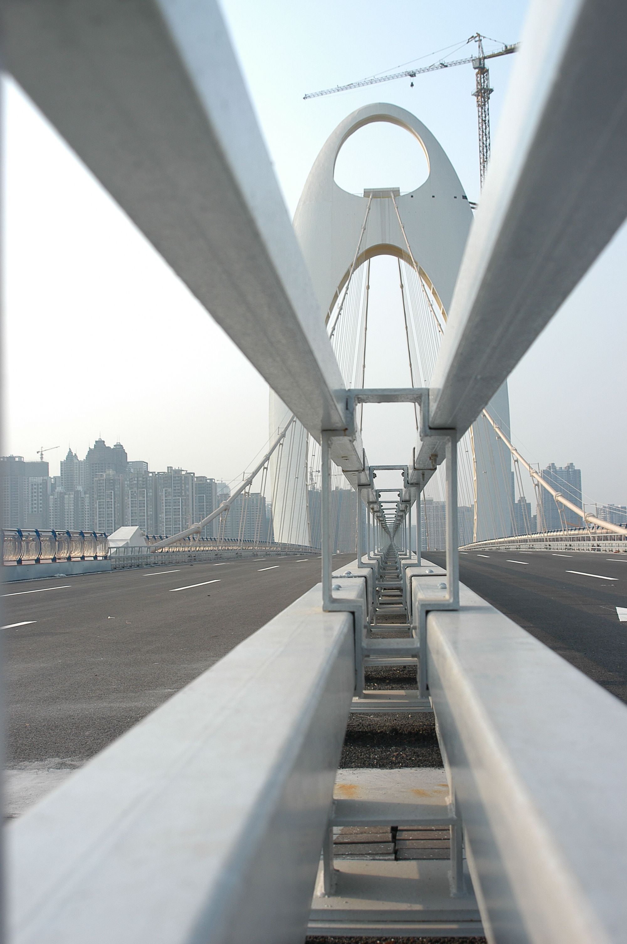 【广州猎德大桥风姿摄影图片】广州风光旅游摄
