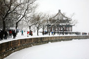 瑞雪兆丰年-京城雪