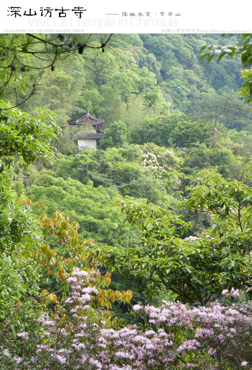 深山访古寺【p27】