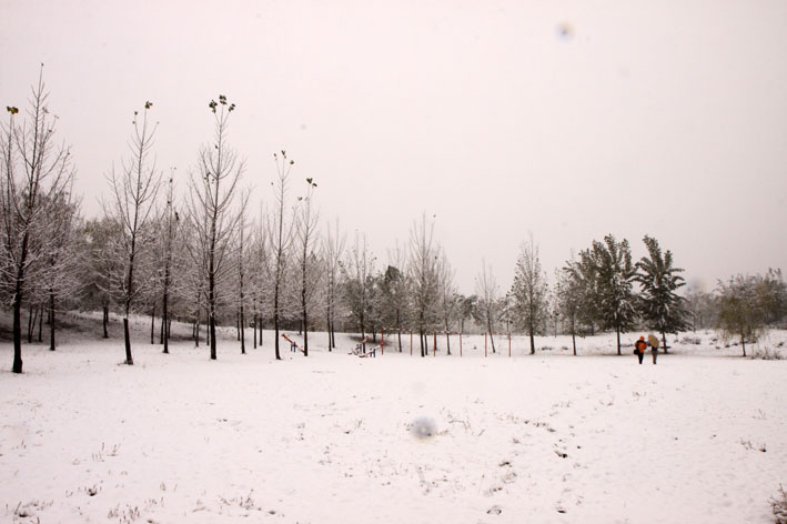 北京下雪啦