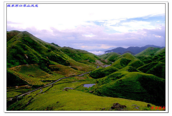 桂东寒口草山风光