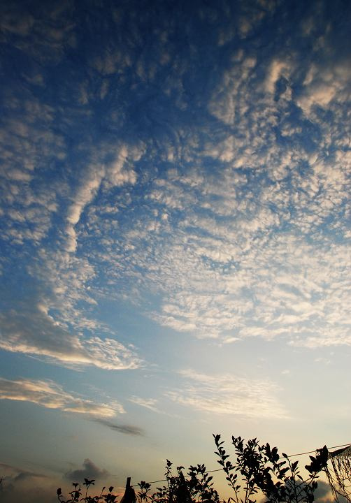 【我的天空,我的云摄影图片】广州生活摄影_太平洋网