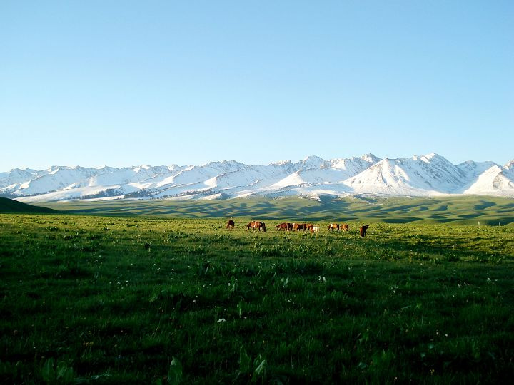 【美丽的家乡-----新疆·那拉提·空中草原摄影图片】那拉提夏牧场纪实摄影_红尘_太平洋电脑网摄影部落