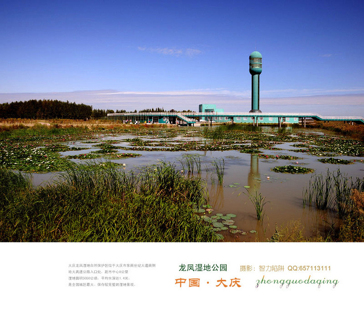 【油城大庆之龙凤湿地摄影图片】龙凤湿地风光