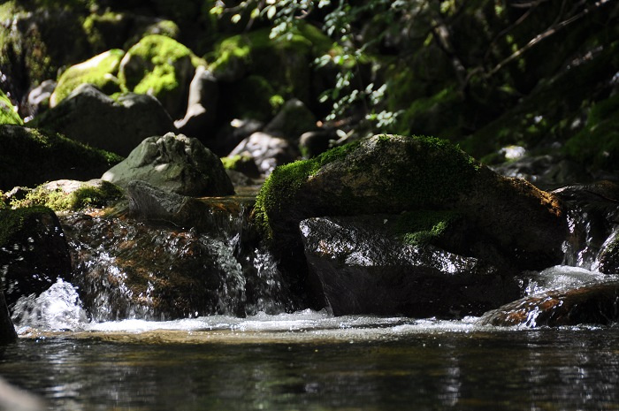 山泉水