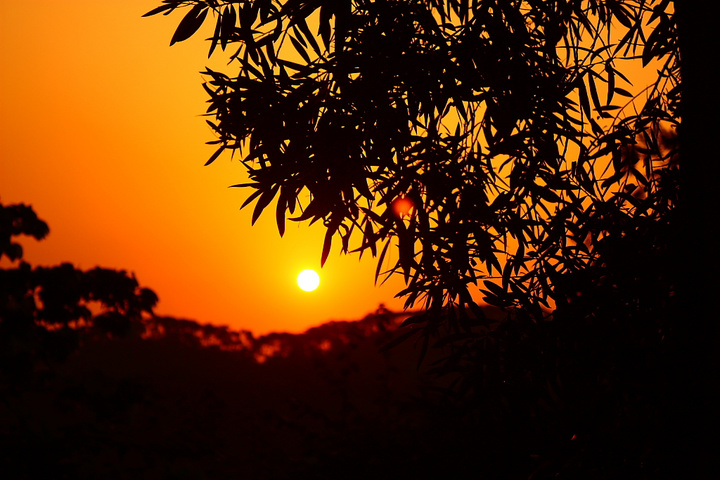最美夕阳红