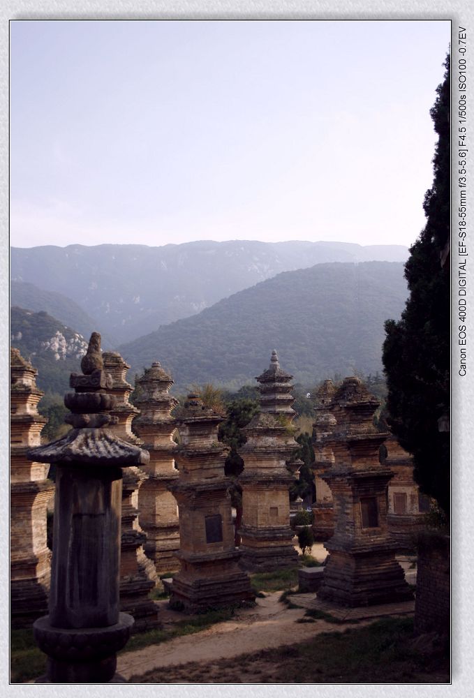 河南行2少林寺.塔林