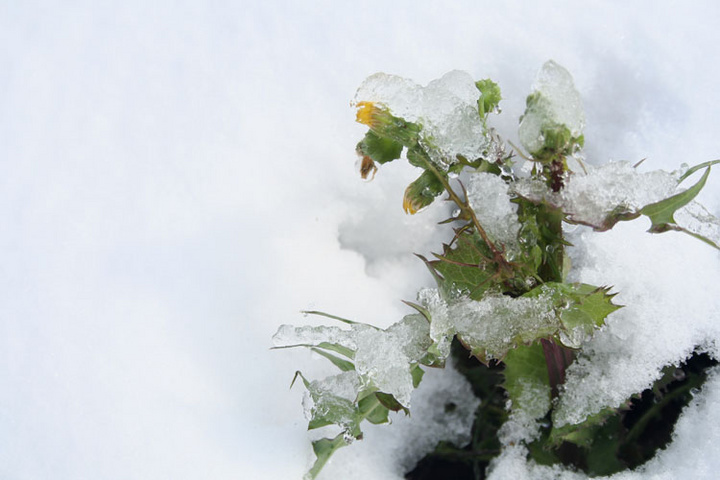 雪后风景!