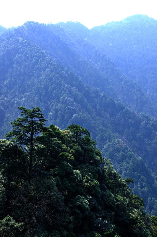 行摄井冈山