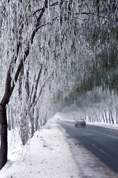 郑州雪景