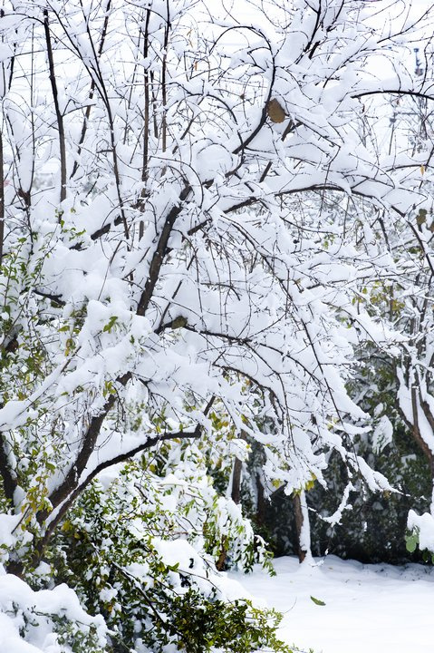 郑州雪景