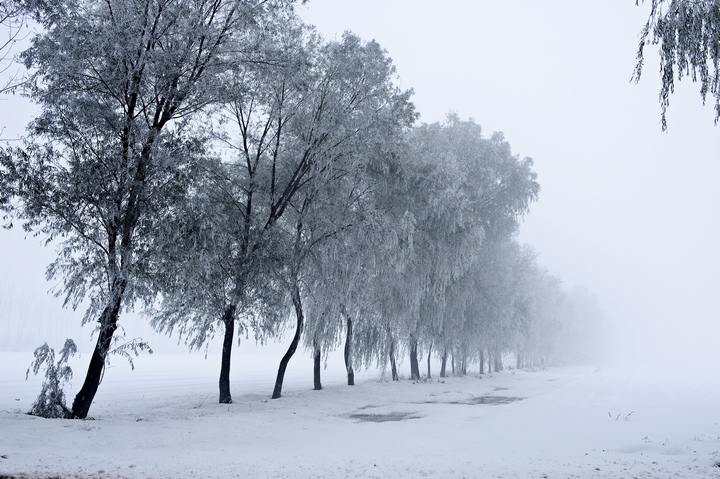 郑州雪景