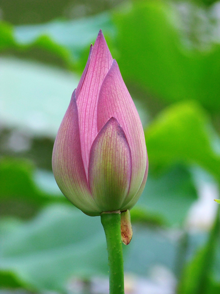 江西科技师范大学