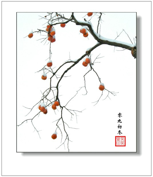 摄影部落