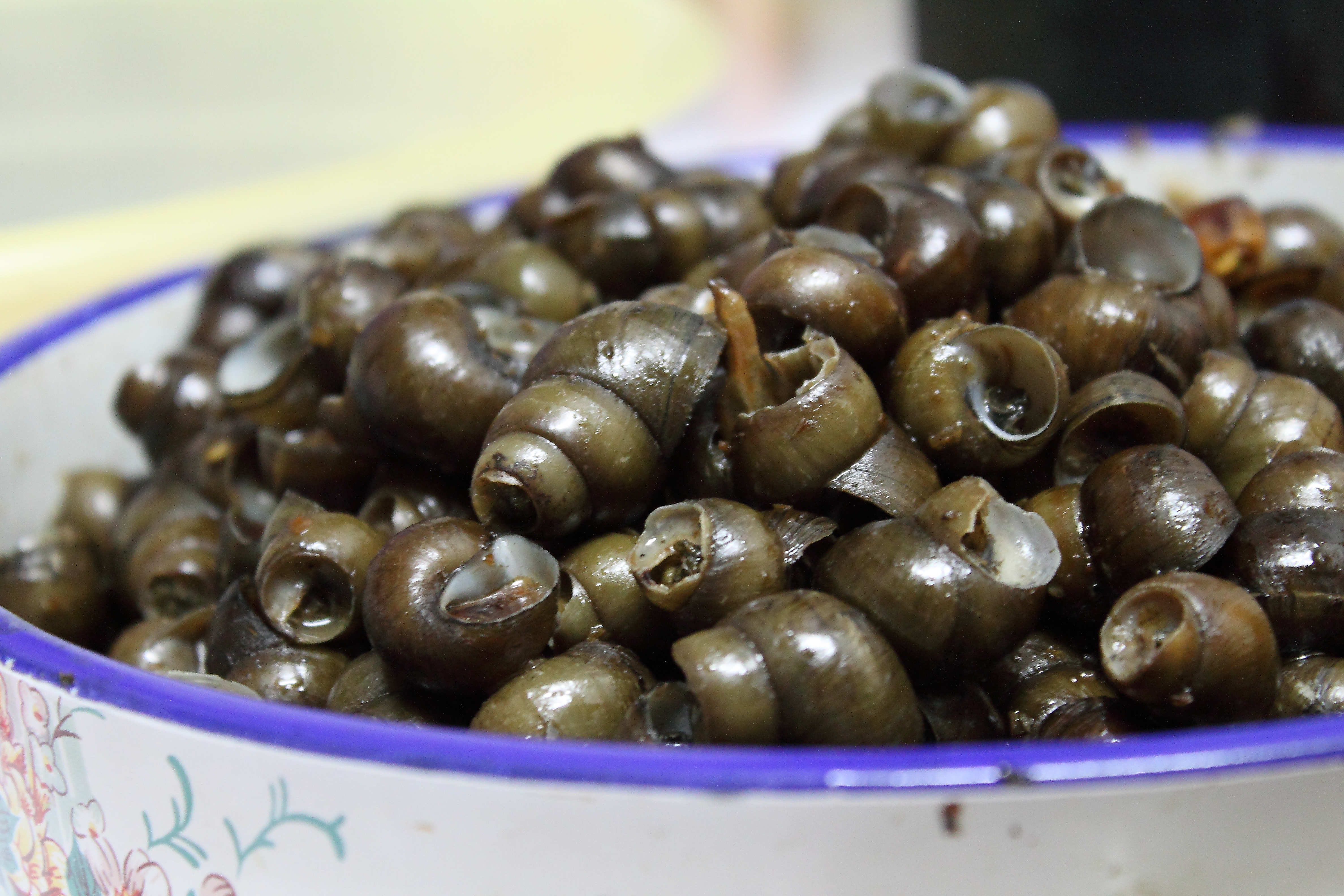 中国到底哪里的螺肉最好吃？|田螺|泥螺_新浪新闻