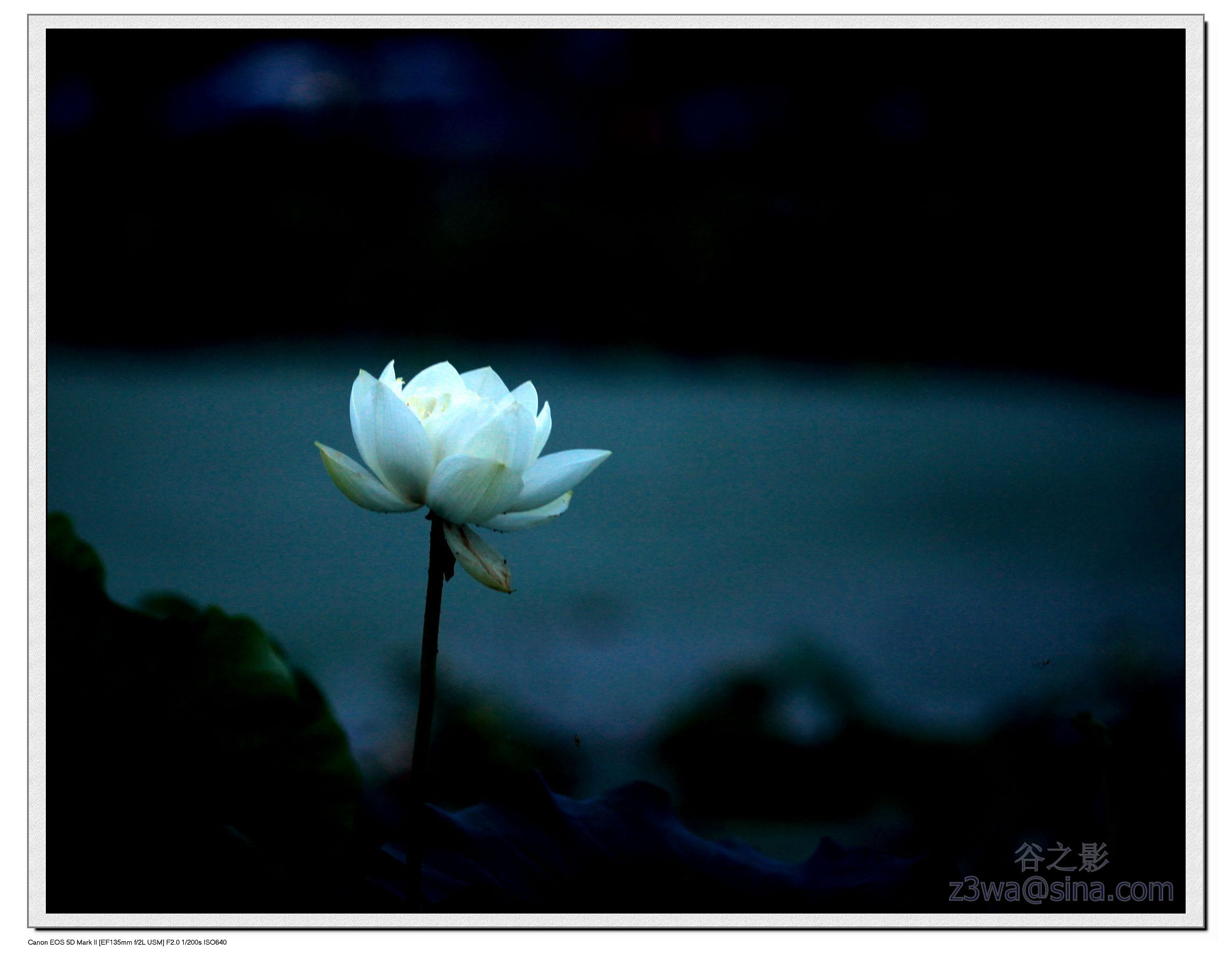 武汉东湖-月色|摄影|风光|康顺 - 原创作品 - 站酷 (ZCOOL)