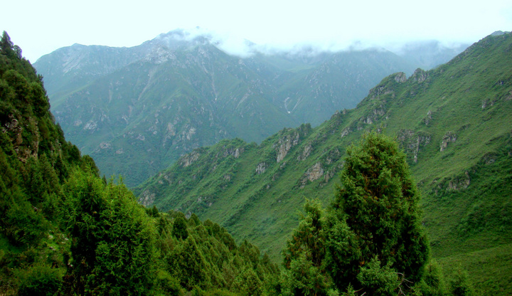 青海互助县北山国家森林公园的风景