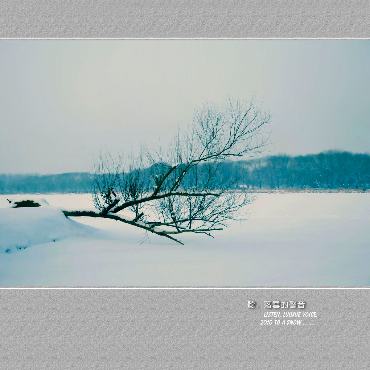 听,落雪的声音(一)
