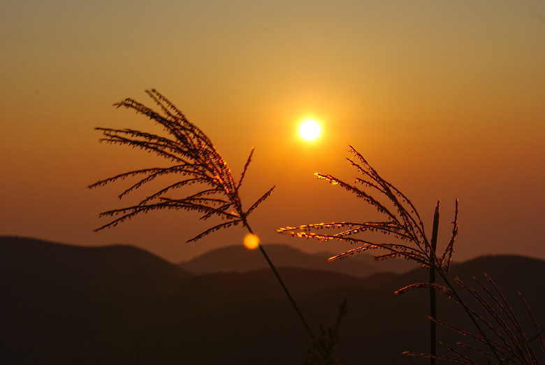 迎太阳