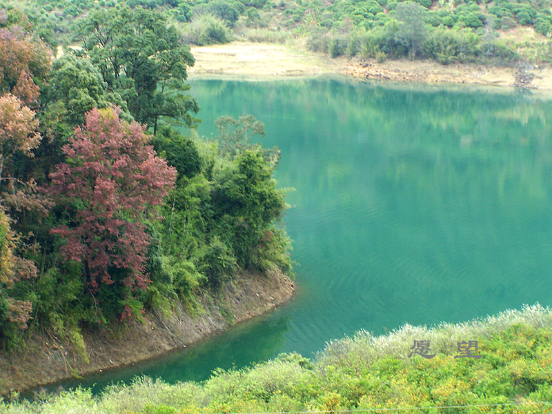 从化流溪河美景