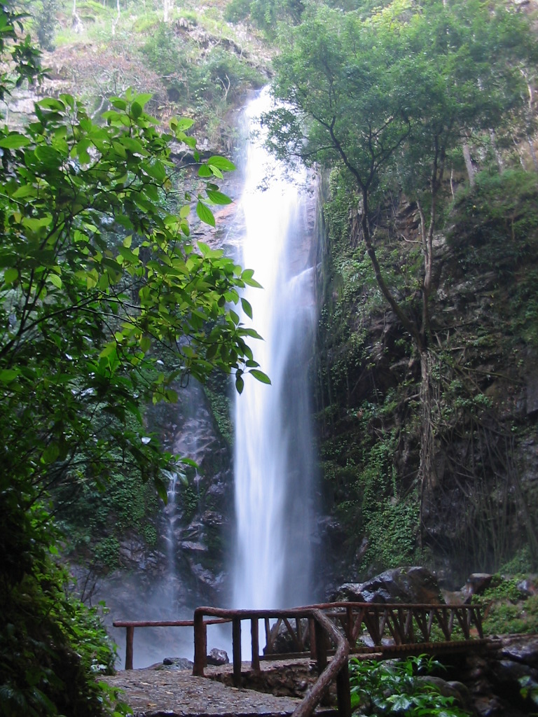 瑞丽热带雨林景区--莫里