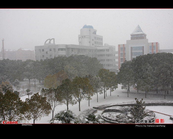 【新年的雪摄影图片】仙桃纪实摄影_太平洋电脑网摄影部落