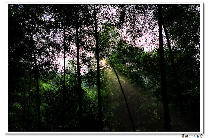 【黄梅-五祖寺摄影图片】湖北黄梅五祖寺风光