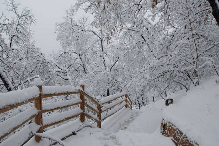 北方的雪