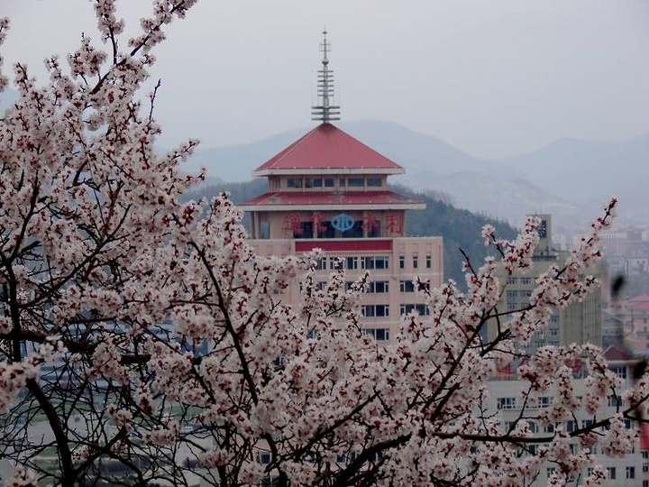 通化市 