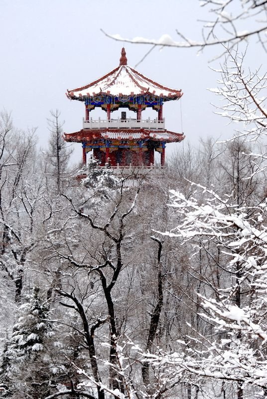 【迎春四月飞雪 银花装扮山城摄影图片】通化市玉皇山